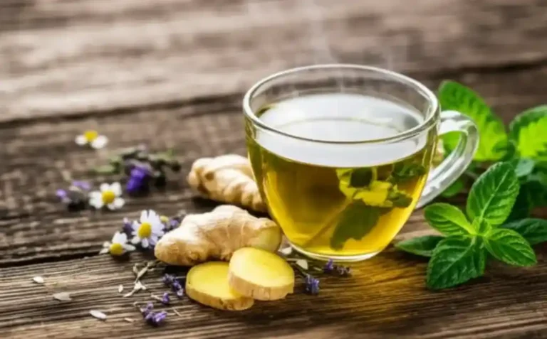 Uma xícara fumegante de Chá para digestão naturalmente com ervas frescas ao redor, transmitindo bem-estar.